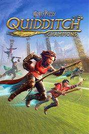 Harry Potter: Campeones de Quidditch